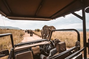 redcharlie redcharlie1 nf7w hn6dkq unsplash