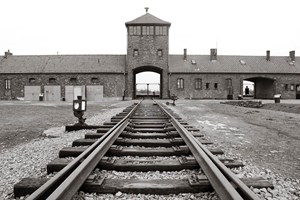 16 219 auschwitz alta 18