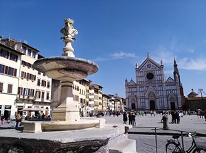 2610 firenze img 20190331 143628