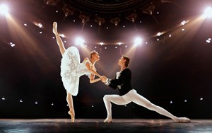 multidata arena balletto alta 20