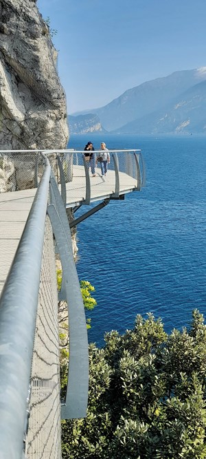 194 limone 20250412 104911