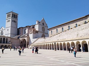 14 153 assisi estate alta 19