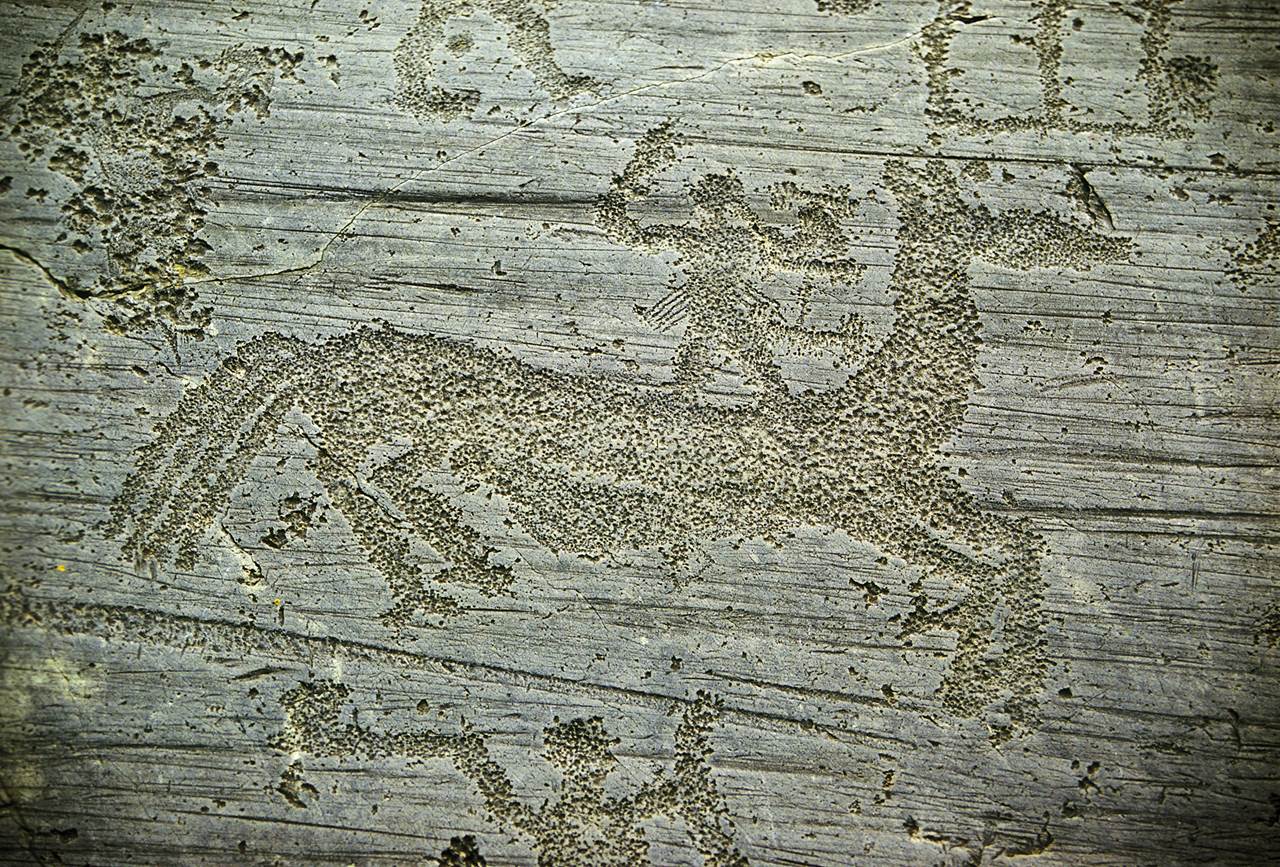 giu 146 incisioni rupestri val camonica alta 20