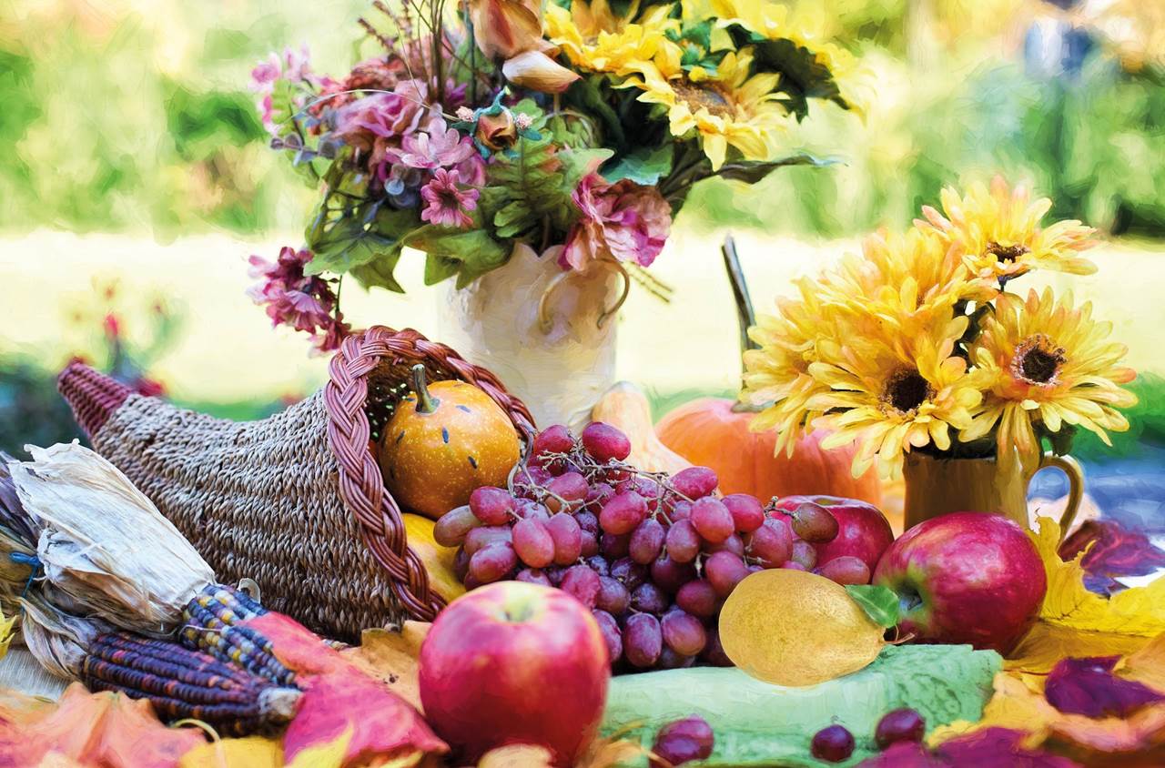 set 279 chignolo cornucopia 1789664