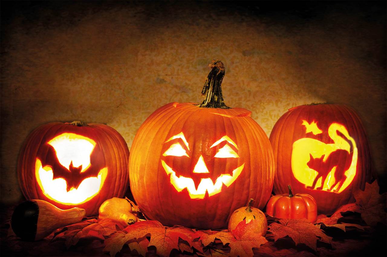 nov 111 arona jack o lanterns 3735386