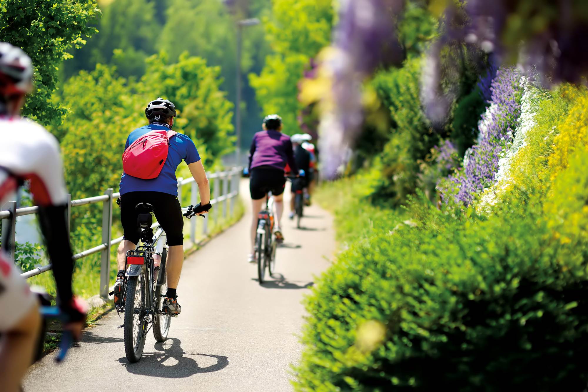 adobestock 210673896 alta 25