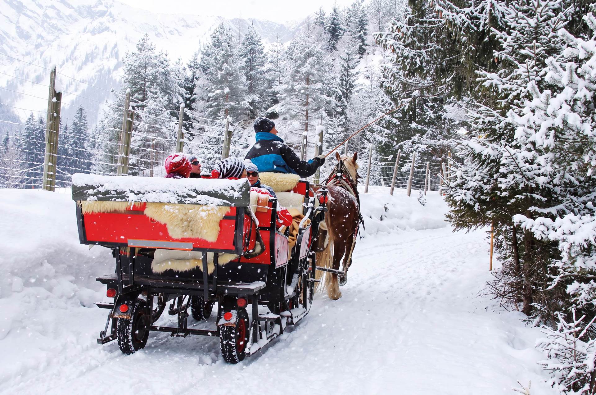 31 gennaio carrozza